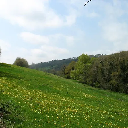 La Maison Du Meunier Montredon-Labessonnié