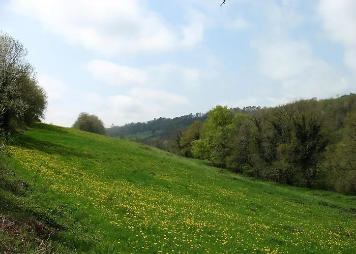 La Maison Du Meunier Montredon-Labessonnié