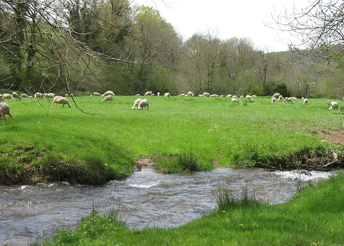 בית נופש La Maison Du Meunier Montredon-Labessonnié