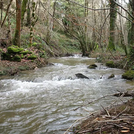La Maison Du Meunier Dom wakacyjny Montredon-Labessonnié
