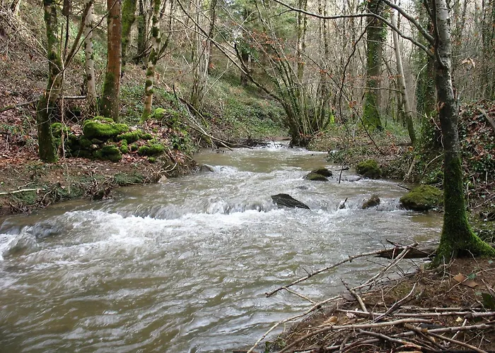 La Maison Du Meunier Hébergement de vacances Montredon-Labessonnié